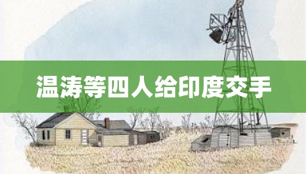温涛等四人给印度交手