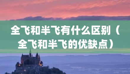 全飞和半飞有什么区别(全飞和半飞的优缺点)