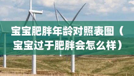 宝宝肥胖年龄对照表图（宝宝过于肥胖会怎么样）
