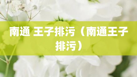 南通 王子排污（南通王子排污）