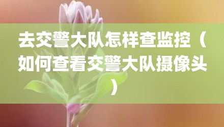 去交警大队怎样查监控（如何查看交警大队摄像头）