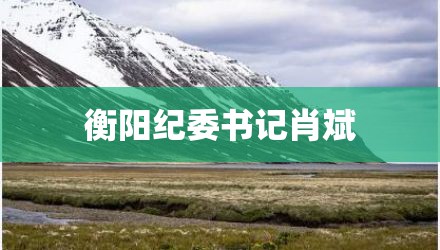 衡阳纪委书记肖斌