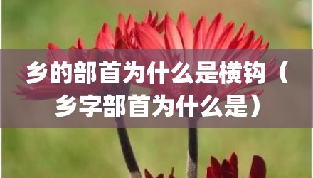 乡的部首为什么是横钩（乡字部首为什么是）