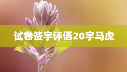 试卷签字评语20字马虎