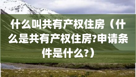 什么叫共有产权住房（什么是共有产权住房?申请条件是什么?）