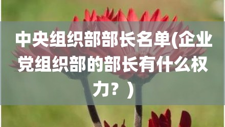 中央组织部部长名单(企业党组织部的部长有什么权力？)