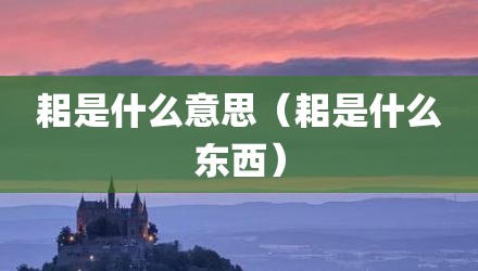 耜是什么意思（耜是什么东西）