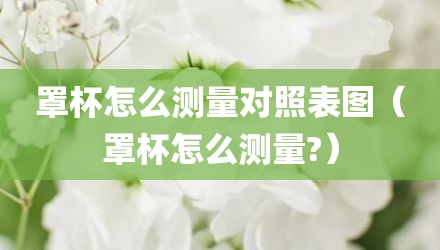 罩杯怎么测量对照表图（罩杯怎么测量?）