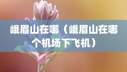 峨眉山在哪（峨眉山在哪个机场下飞机）