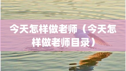 今天怎样做老师（今天怎样做老师目录）