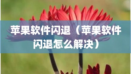 苹果软件闪退（苹果软件闪退怎么解决）