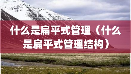 什么是扁平式管理(什么是扁平式管理结构)