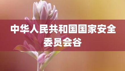 中华人民共和国国家安全委员会谷