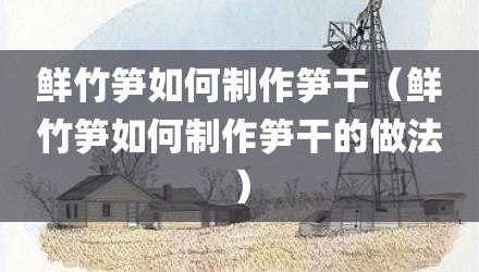 鲜竹笋如何制作笋干（鲜竹笋如何制作笋干的做法）