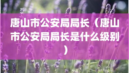 唐山市公安局局长（唐山市公安局局长是什么级别）