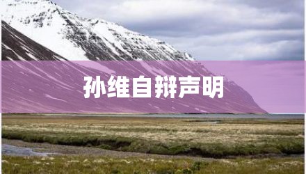 孙维自辩声明