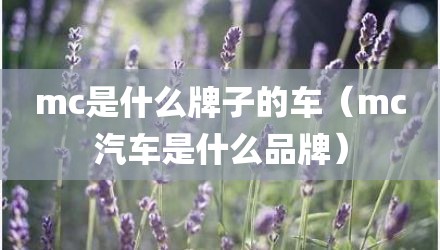 mc是什么牌子的车(mc汽车是什么品牌)