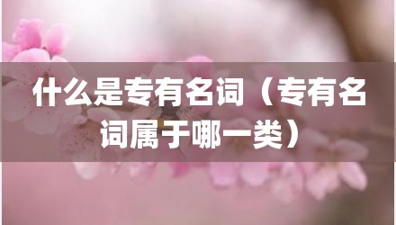什么是专有名词（专有名词属于哪一类）