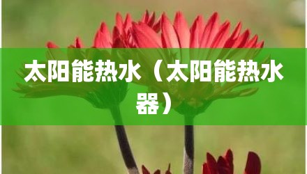 太阳能热水（太阳能热水器）