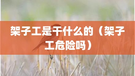 架子工是干什么的（架子工危险吗）