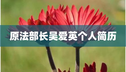 原法部长吴爱英个人简历