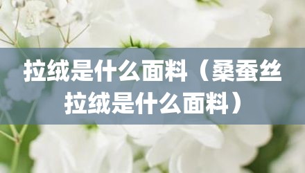 拉绒是什么面料（桑蚕丝拉绒是什么面料）