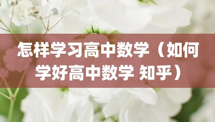 怎样学习高中数学（如何学好高中数学 知乎）