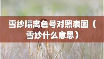 雪纱隔离色号对照表图（雪纱什么意思）