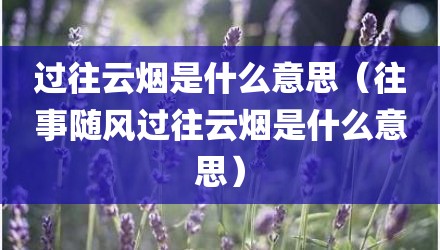 过往云烟是什么意思（往事随风过往云烟是什么意思）