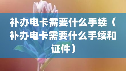 补办电卡需要什么手续（补办电卡需要什么手续和证件）