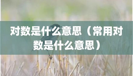 对数是什么意思（常用对数是什么意思）