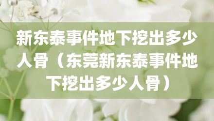 新东泰事件地下挖出多少人骨（东莞新东泰事件地下挖出多少人骨）