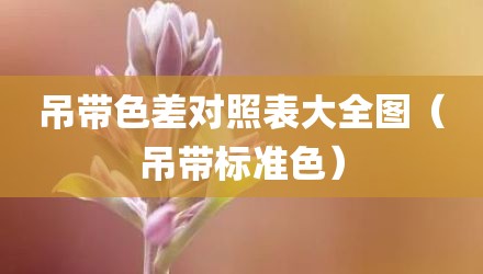 吊带色差对照表大全图（吊带标准色）