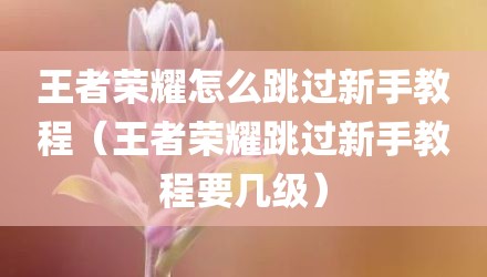 王者荣耀怎么跳过新手教程（王者荣耀跳过新手教程要几级）