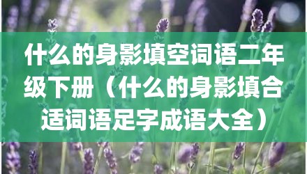 什么的身影填空词语二年级下册(什么的身影填合适词语足字成语大全)