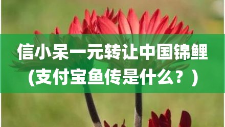 信小呆一元转让中国锦鲤(支付宝鱼传是什么？)