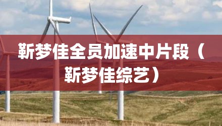 靳梦佳全员加速中片段（靳梦佳综艺）