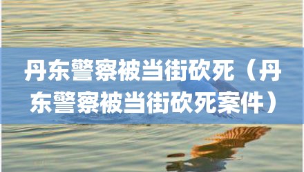 丹东警察被当街砍死（丹东警察被当街砍死案件）