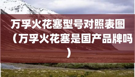 万孚火花塞型号对照表图（万孚火花塞是国产品牌吗）