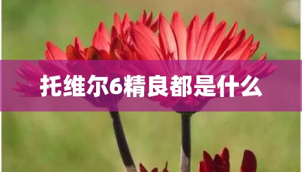 托维尔6精良都是什么