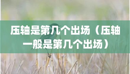 压轴是第几个出场（压轴一般是第几个出场）