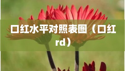 口红水平对照表图（口红rd）