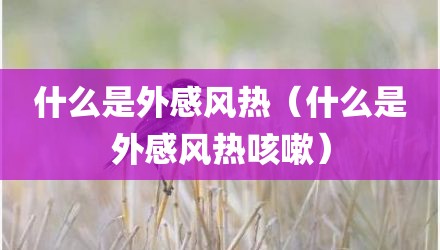 什么是外感风热（什么是外感风热咳嗽）