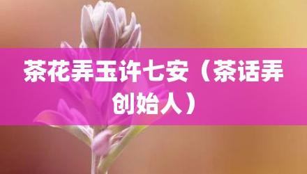 茶花弄玉许七安（茶话弄创始人）