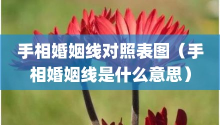 手相婚姻线对照表图（手相婚姻线是什么意思）