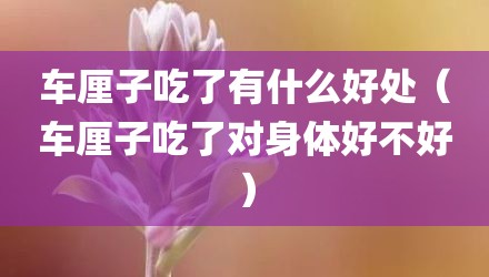 车厘子吃了有什么好处（车厘子吃了对身体好不好）