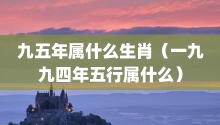 九五年属什么生肖（一九九四年五行属什么）