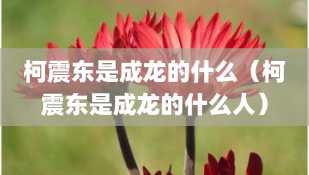 柯震东是成龙的什么（柯震东是成龙的什么人）