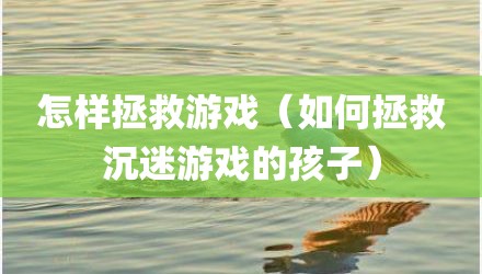 怎样拯救游戏（如何拯救沉迷游戏的孩子）
