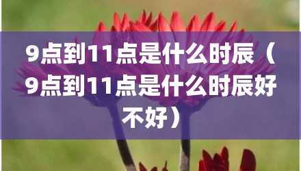 9点到11点是什么时辰(9点到11点是什么时辰好不好)